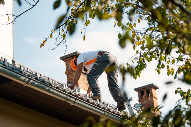 Best Metal Roofing Contractor  in Ravena, NY